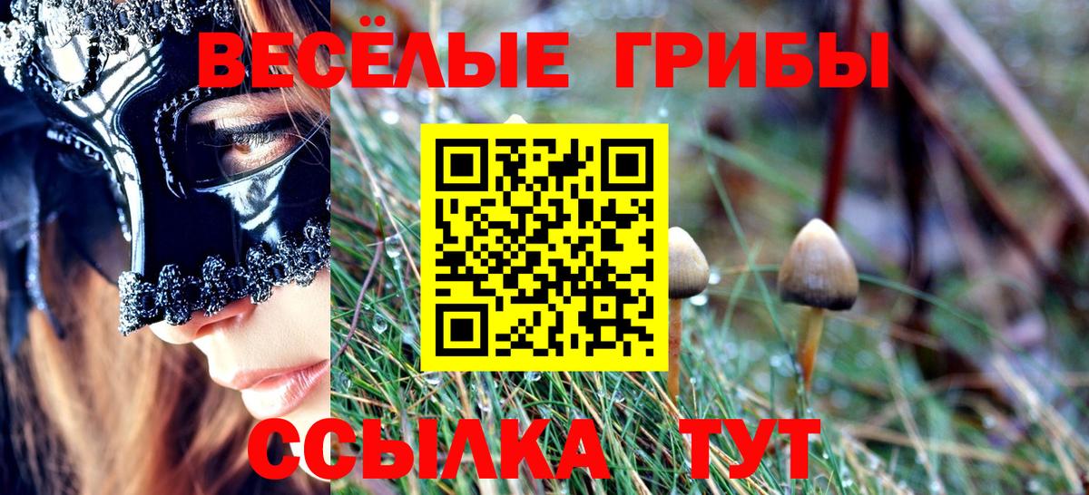 Галлюциногенные грибы мухоморы  Вход с VPN  Нововоронеж 