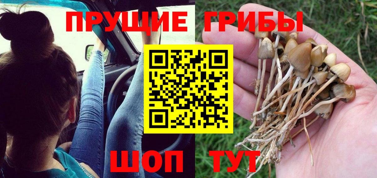 Галлюциногенные грибы MAGIC MUSHROOMS Нововоронеж